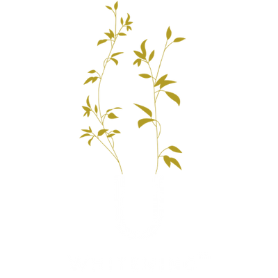 U Whitening Inc