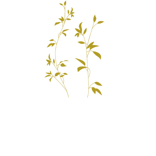U Whitening Inc